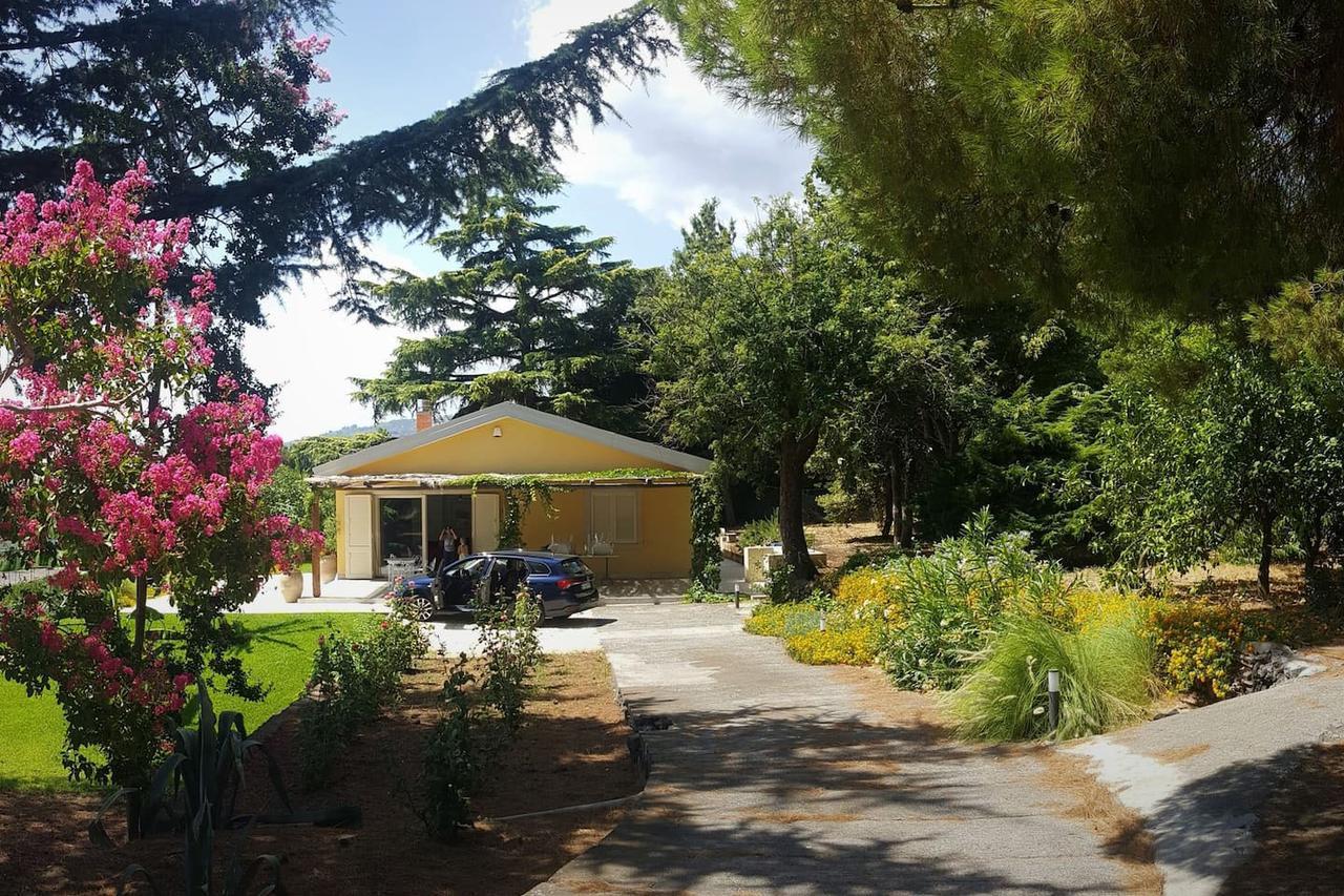 Villa Palm Hill Piedimonte Etneo Extérieur photo