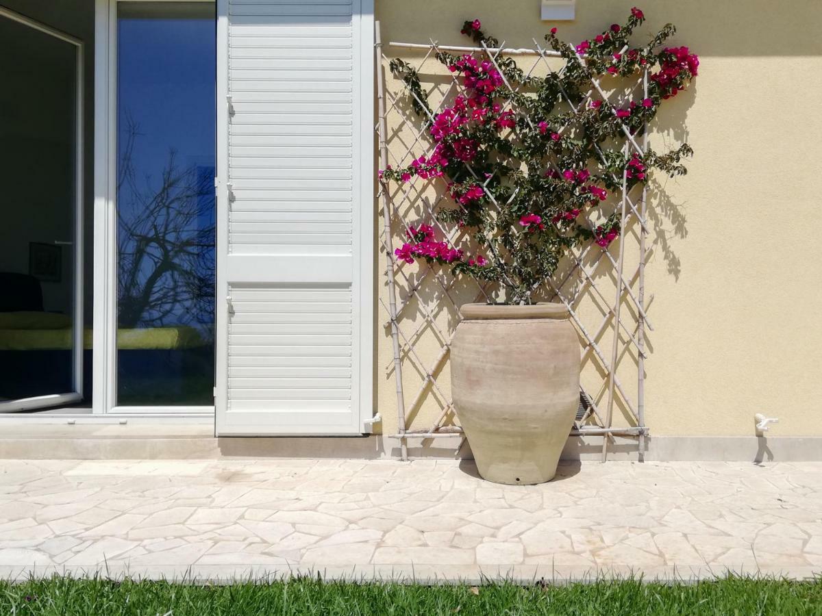 Villa Palm Hill Piedimonte Etneo Extérieur photo