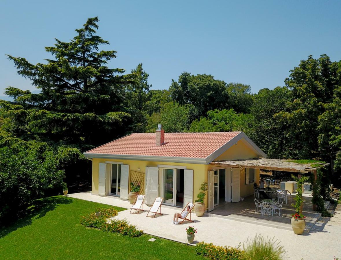 Villa Palm Hill Piedimonte Etneo Extérieur photo
