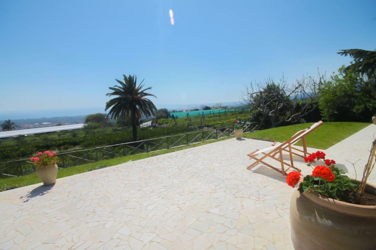 Villa Palm Hill Piedimonte Etneo Extérieur photo